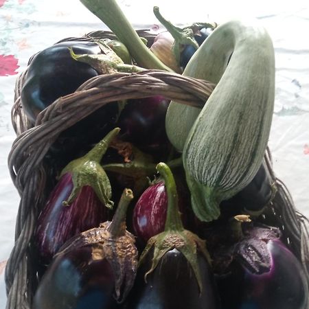 Agri Bertorella Cuneo Buitenkant foto
