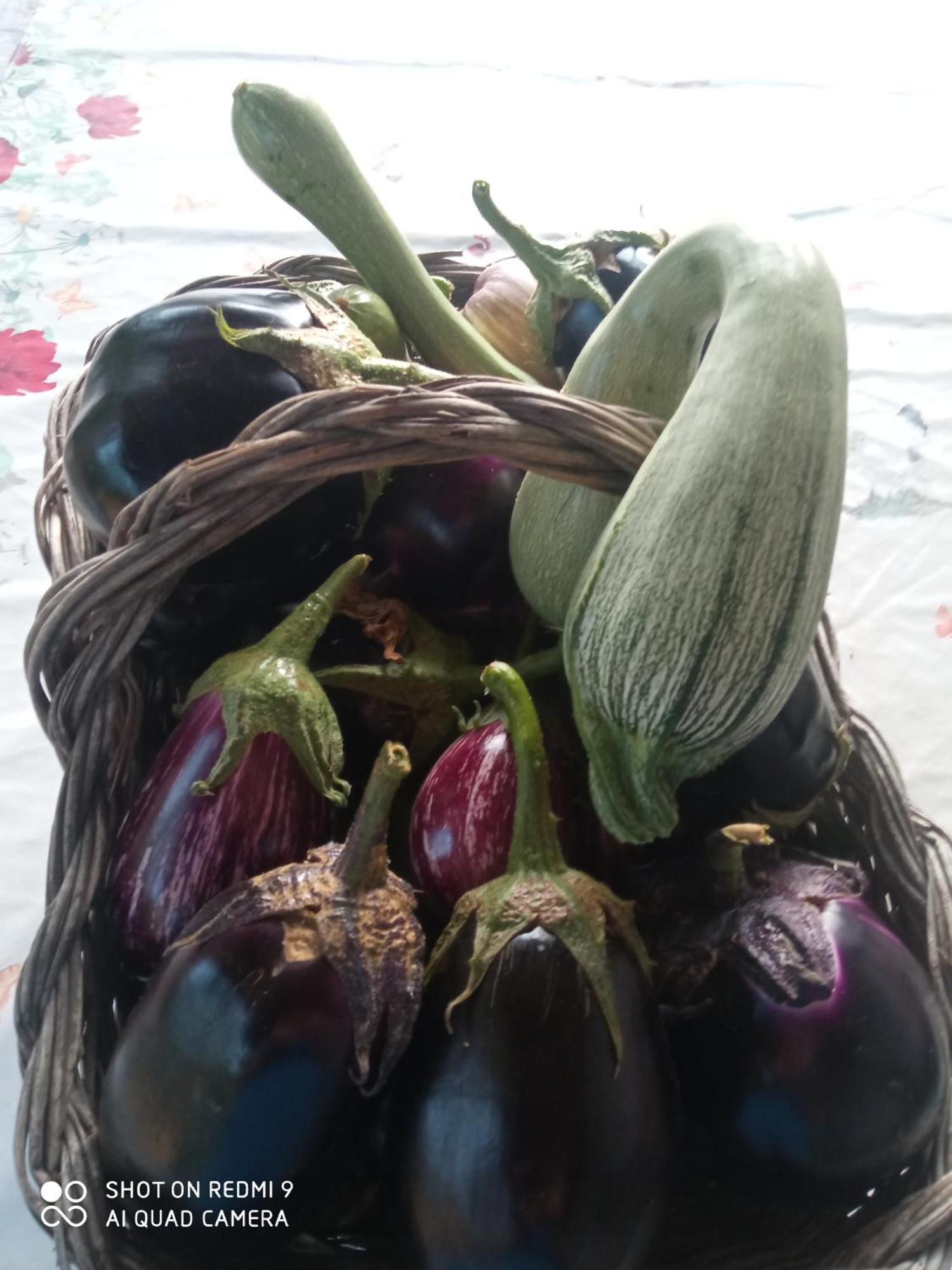 Agri Bertorella Cuneo Buitenkant foto